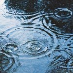 写真撮影キャンプ旅行をしたら、雨に降られ、バッテリーが切れ、ズームが足りなかった話