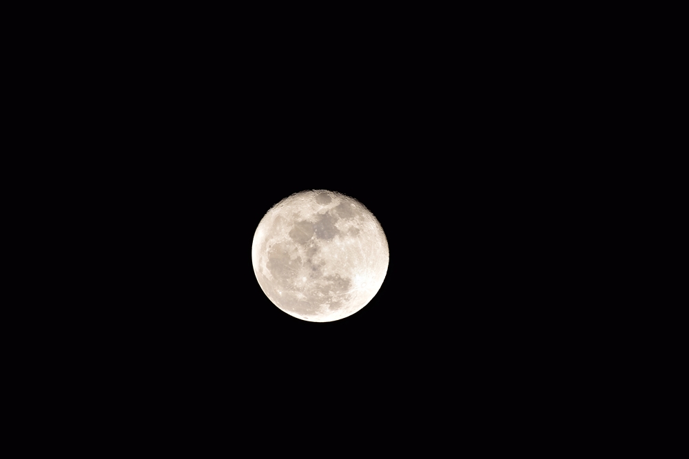焦点距離　500㎜での月の撮影