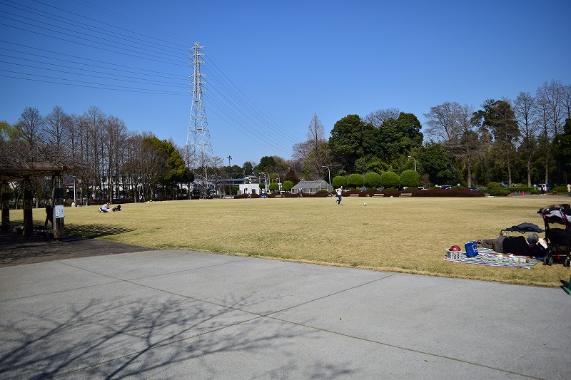 サギヤマ記念公園　芝生広場