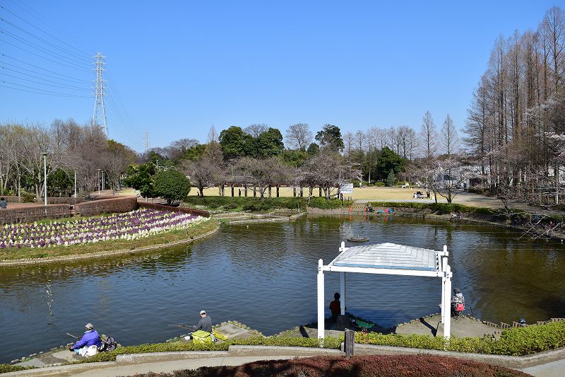 サギヤマ記念公園　お池