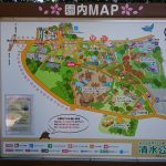 清水公園フィールドアスレチックのファミリーでの正しい行き方、遊び方